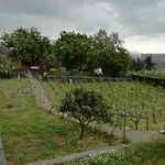 Casa Nel Vigneto Trecastagni