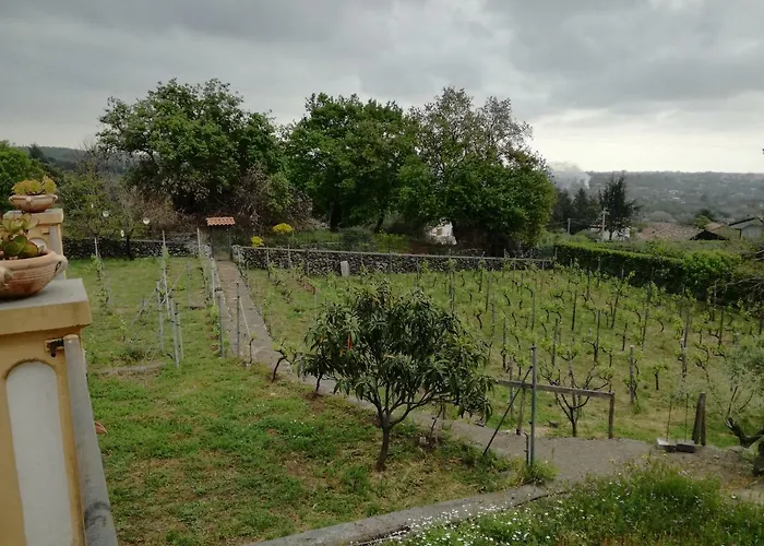 Casa Nel Vigneto Trecastagni