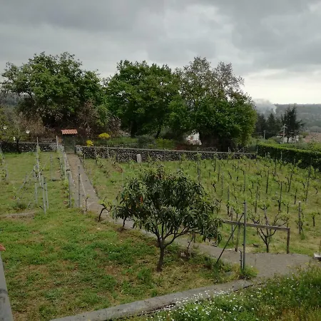 Casa Nel Vigneto 트레카스타니